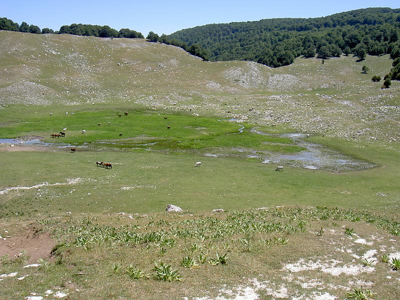 lago vivo